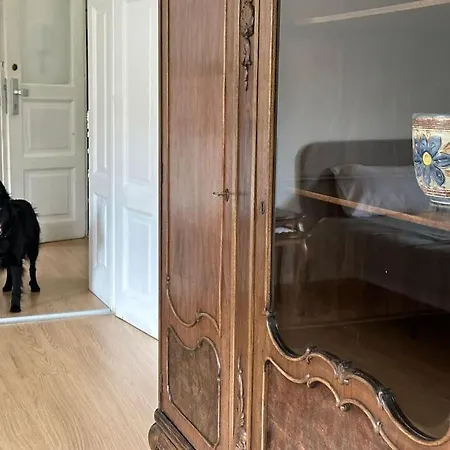 The Classy Sassy * 卢布尔雅那