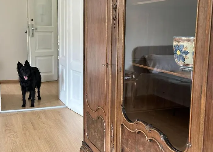 The Classy Sassy * Lublaň