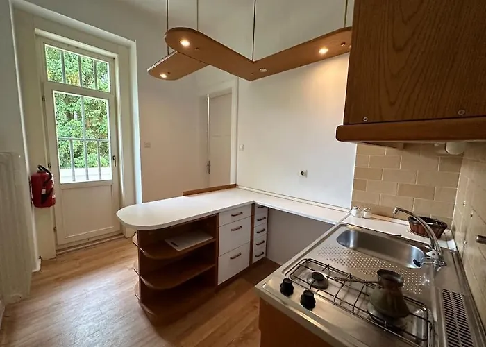 The Classy Sassy 류블랴나